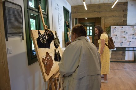 Konferencja Wiślańskie Żywotki